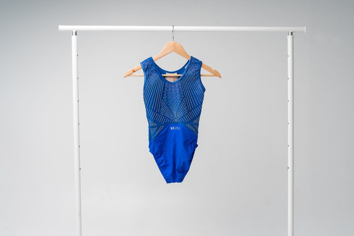 The Back of The Blue One